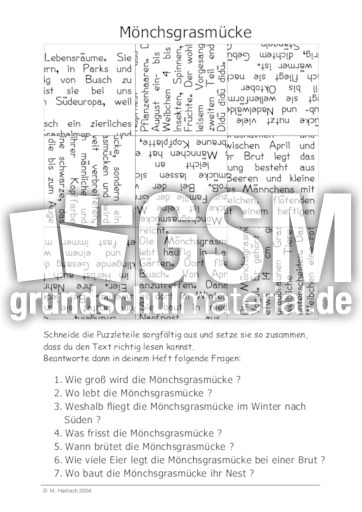 Mönchsgrasmücke.pdf